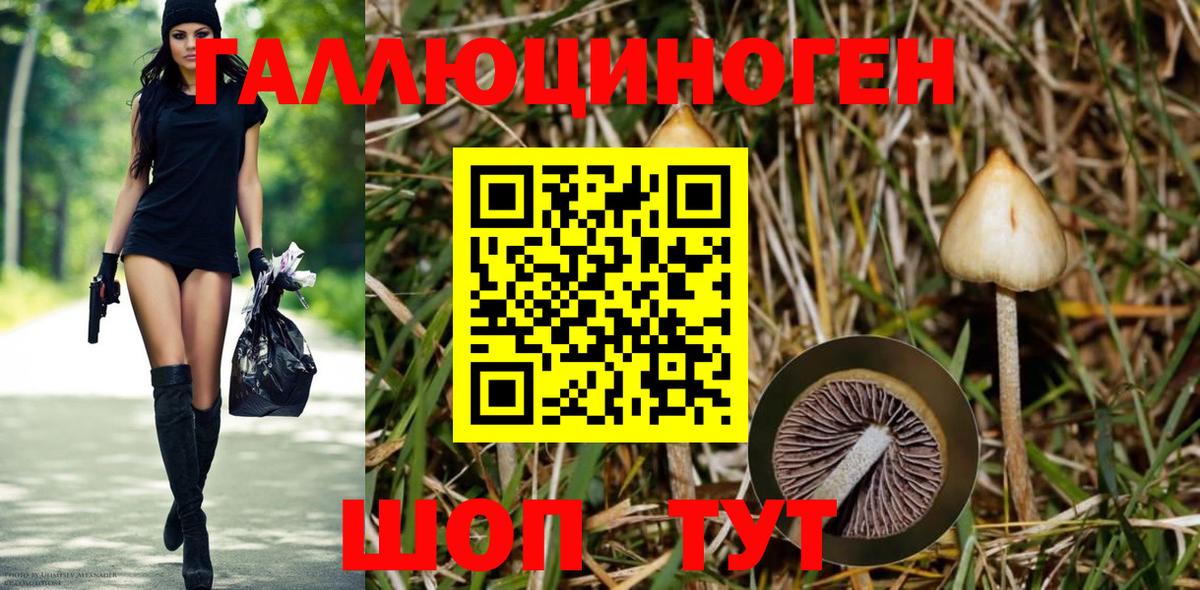 Сургут  Галлюциногенные грибы Magic Shrooms  Галлюциногенные грибы ЛСД  Вход с VPN 