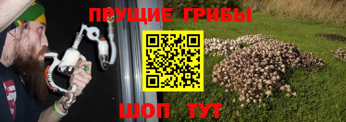 Галлюциногенные грибы ЛСД Сургут